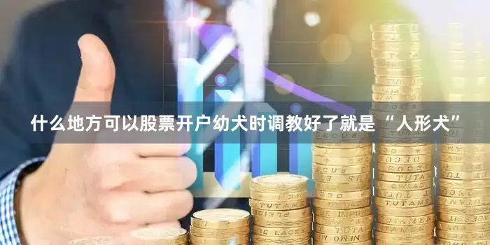 什么地方可以股票开户幼犬时调教好了就是 “人形犬”
