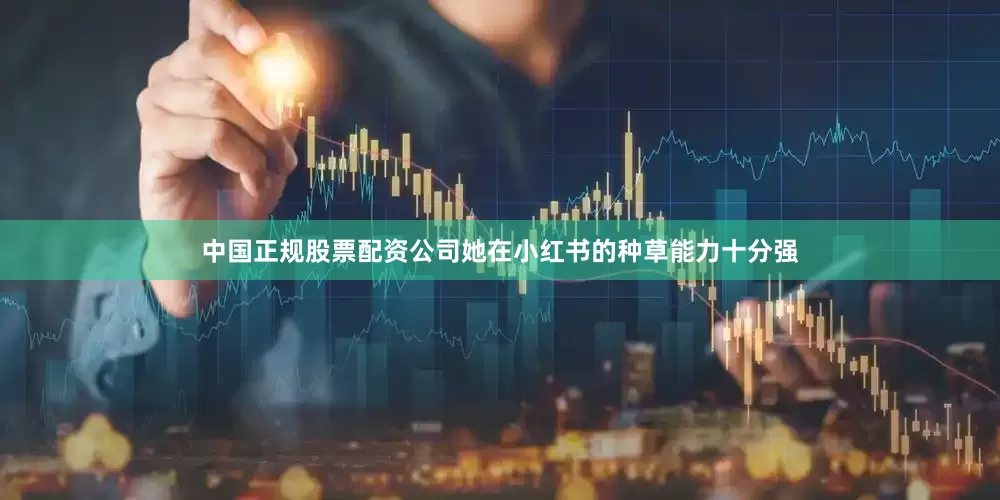中国正规股票配资公司她在小红书的种草能力十分强