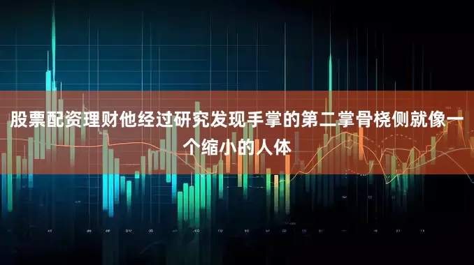 股票配资理财他经过研究发现手掌的第二掌骨桡侧就像一个缩小的人体